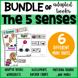5 Senses Adapted Book  BUNDLE