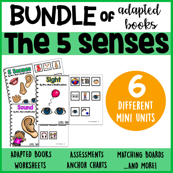 5 Senses Adapted Book  BUNDLE