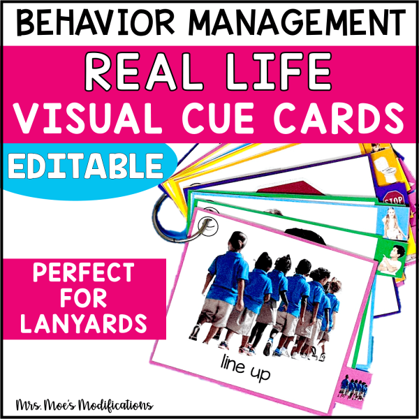 Visual Cue Cards: Real Images {English, Spanish, & French versions} | EDITABLE